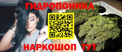 2c-b Славянск-на-Кубани