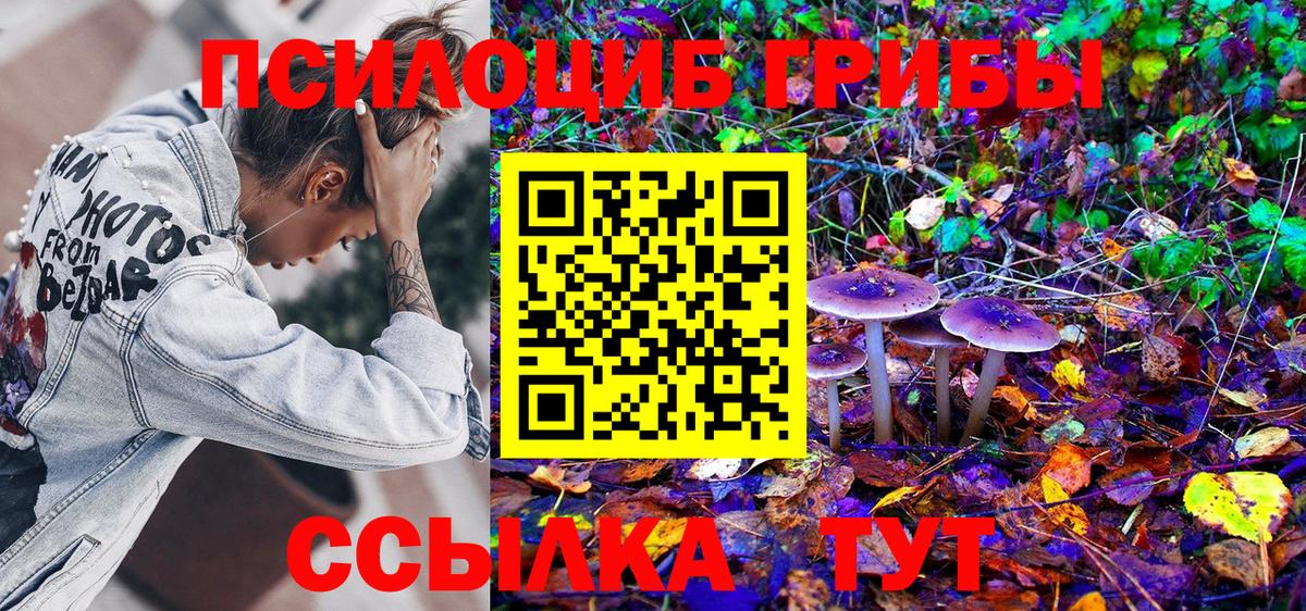 Псилоцибиновые грибы MAGIC MUSHROOMS  Вход с VPN  Сертолово  Псилоцибиновые грибы Magic Shrooms 